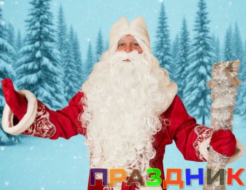 Дед Мороз и Снегурочка