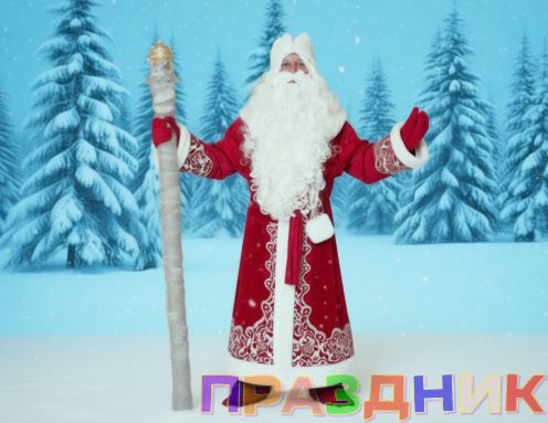 Дед Мороз и Снегурочка